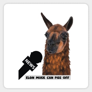 Elon Musk Can Piss Off Magnet